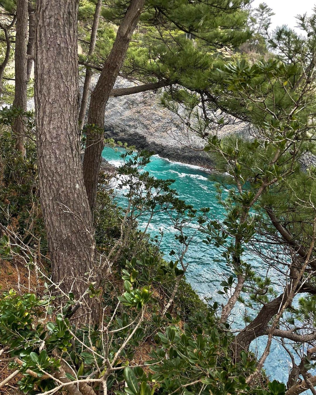 あゆみさんのインスタグラム写真 - (あゆみInstagram)「見てみたかった景色🌊七ツ釜 . 佐賀県唐津市呼子町にある国の天然記念物  玄武岩が玄界灘の波涛の侵食作用でできた七つの釜(洞窟)なんだって！どゆこと？笑 何万年も前から続く荒波が作り出した自然の力に感動しました🌒🌓🌔  雪降ってたけど時間あるから行ってみたら晴れた☀︎ 暖かくなったら遊覧船も出てるみたい〜 ブリッジしたかったんだけど風強すぎ寒すぎて上着脱ぐことすらできなかったよ🥶 . . #佐賀 #呼子 #七ツ釜 #天然記念物 #旅行 #nature #travel」2月18日 12時32分 - ayumiiii26