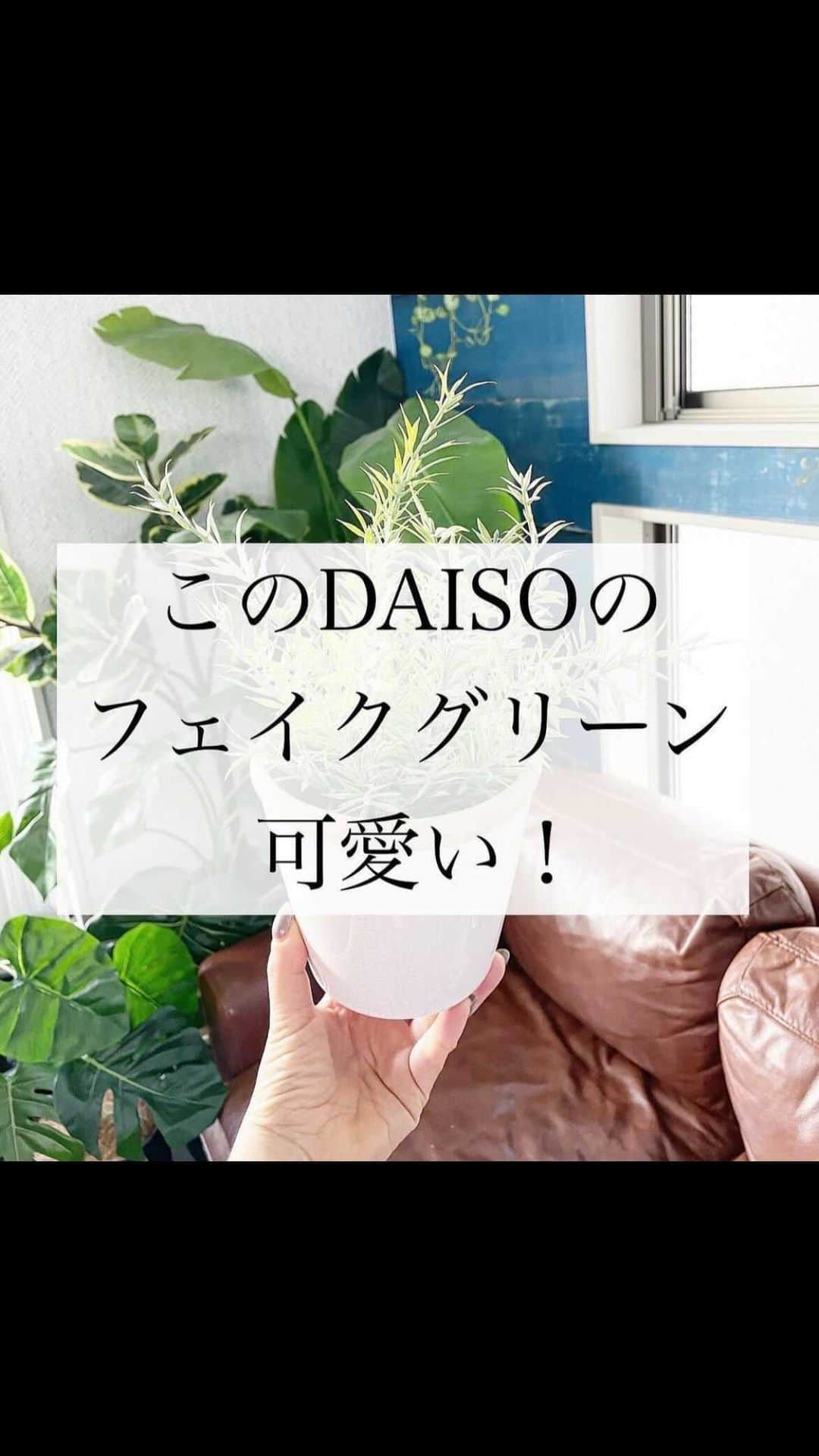 いなざうるす屋のインスタグラム