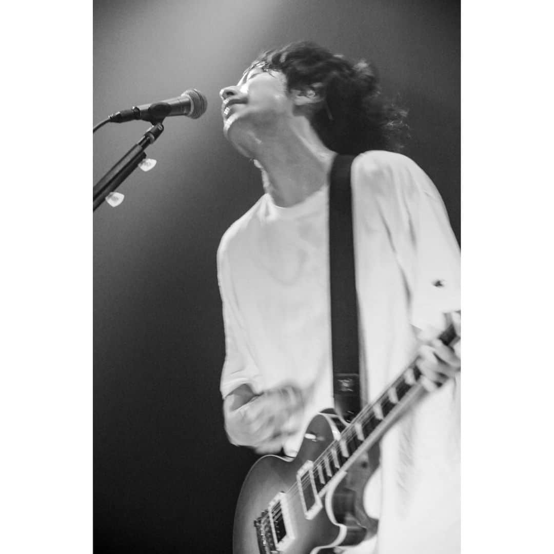 椎木知仁のインスタグラム：「今日から毎週金曜夜21時にMy Hair is Badライブ映像がプレミア公開されます。今週は日本武道館ワンマンの二日目です。生まれて初めての日本武道館ワンマン二日目当日の朝「今日最後の曲終わって納得いかなかったらギター折ろう。叩きつけるか、めっちゃ上に放り投げるか、どっちがいいかな…」と思っていました。どういう流れでそうなってたのかはわからないですが当時はまだまだ変にトガる斜に構えボーイだったので「やってやるぞ！」みたいな気持ちが煮詰まってそうなったんだと思います。入場SEが終わって一音目、僕がギターを、ジャガジャーン！、と弾かないとならない場面で自分でギターのボリュームを下げていて、チャカチャァン…！、としか鳴らなかったその時点で「あぁ！もう今日ギター折るしかない！」と思いました。本当に思いました。一曲目記憶ないです。アフターなアワーすぎ。演奏開始1秒で心が死にましたが、死んだ心も見捨てて本気で向き合うしかありませんでした。でもがむしゃらに演奏しているといつのまにか心から夢中になっていて、真っ直ぐにMy Hair is Badに向き合い、いいライブになっていくのが自分でもわかって、ギターを折ることも忘れてステージを降りました。当時はまだまだ変にトガる斜に構えボーイでしたが、お客さんの温かさに触れ「こんなに愛されていいの…好き…」ってなったの凄い覚えてます。当日使っていたギターとはその後もメインとして何年も一緒にツアーを回って、現在は楽屋で弾くサブになっています。これを書いている今もここにあります。この写真のギターです。このギター自身の「お前の都合で折られたくない！」みたいな気持ちも音に乗ったんじゃないかな？と思ったりもします。俺と一緒に死んでくれみたいの自分勝手で良くなかったな…それ以来ギターを折ろうと思ったことは一度もありません。逆に絶対壊れてほしくないです。といいつつライブでは振り回してますが…なんにせよ本当にギターもライブも無事に終われてよかったです。この日の打ち上げで飲んだ生ビールが人生で一番美味しいビールでした。(2022年2月現在。) この文章は超余談なので、気にせず21時から楽しんで下さい〜！」