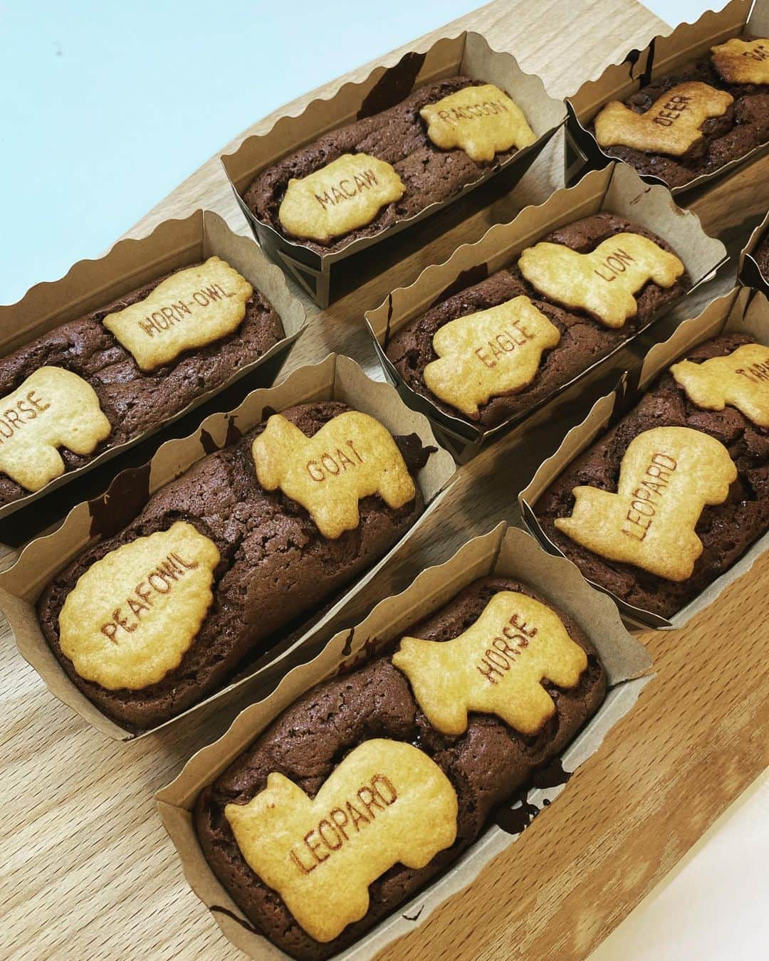 畑野ひろ子のインスタグラム：「長女が作ったチョコブラウニー🍫 たべっ子どうぶつがのってる😆」