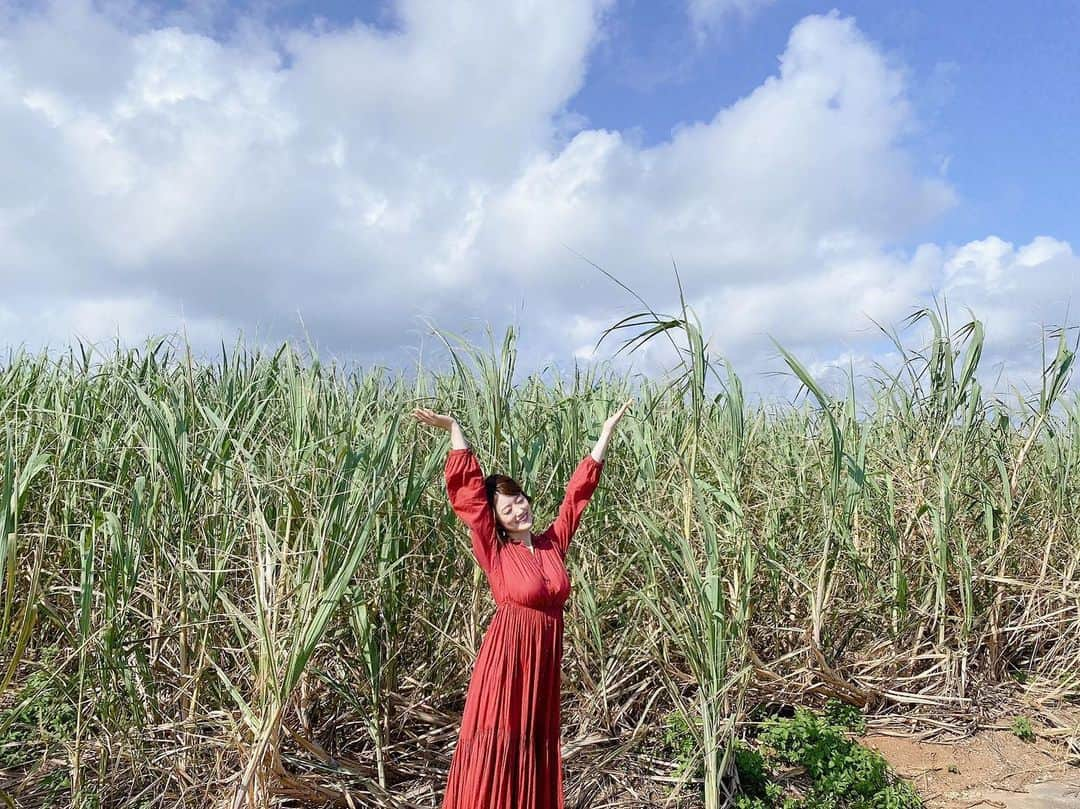 樋口日奈のインスタグラム：「寒すぎる日々、皆様お体は壊していませんか？🥺  気持ちだけでも暖かくなるよう、真夏のオフショを公開☀️✨   @higuchi_hina_official #樋口日奈1st写真集 #樋口日奈 #乃木坂46 #ひなちま #今日はなにちま #夏ちま」