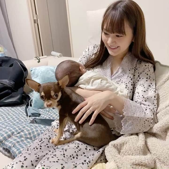 のインスタグラム：「お気に入り🐶👶❤️‍🔥  だんだん慣れてきたのか 仲良くなってきた気がします😍 #生後7ヶ月 🐶　#生後1ヶ月　👶 #赤ちゃんと犬のいる生活」