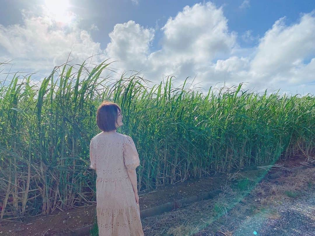 樋口日奈さんのインスタグラム写真 - (樋口日奈Instagram)「撮影中、カメラに虹がかかって良い写真…🌈  こんなに光が似合う人見たことがありません…🌞  @higuchi_hina_official  #樋口日奈1st写真集 #樋口日奈 #乃木坂46 #ひなちま #今日はなにちま #虹ちま」2月18日 22時32分 - higuchihina_1st_ph