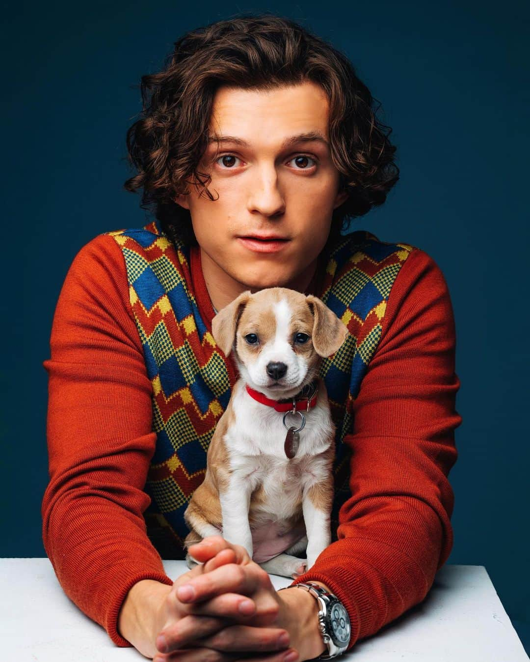 トム・ホランドさんのインスタグラム写真 - (トム・ホランドInstagram)「In honour of the release of the @unchartedmovie … I present to you… puppies」2月19日 9時25分 - tomholland2013