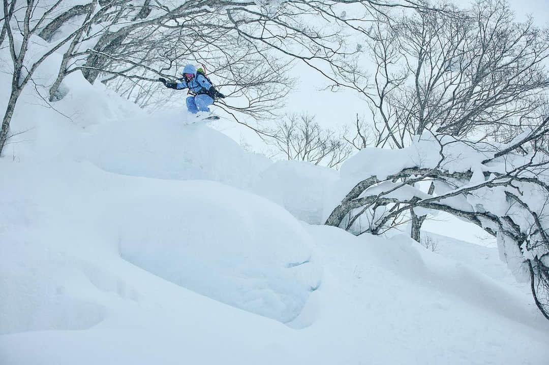 岩垂かれんさんのインスタグラム写真 - (岩垂かれんInstagram)「On snow👉Japow❄️  久しぶりにちょっとジャンプしたりして楽しかった〜！  📷 @akira457_   #roxysnow #snowboarding #japow #hakuba」2月19日 18時44分 - kareniwadare