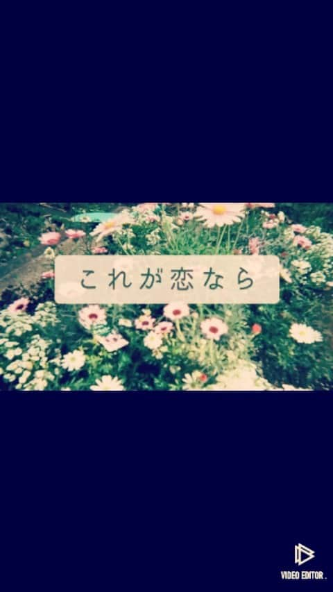 井上侑のインスタグラム：「【新曲「これが恋なら」本日23:59まで】  あっという間に1週間経ってしまいました。 ポトスにご来場いただいた皆様、配信でお会いできた皆様、ありがとうございました。  第3回の新曲書き下ろし企画は「これが恋なら」というタイトルで、まゆこちゃん、Nobo.くんが、めちゃくちゃ素敵な曲を描いてお披露目してくれました。  井上も、人参と虫さんの恋模様…ではなく、こんな曲ができました。  出来立てほやほやの弾き語り音源は、今夜23:59まで、こちらのサイトで販売中です。 ぜひ、お聴きいただきたい一枚です。 https://studiobgs.theshop.jp/items/57881466  #music #新曲　#書き下ろし #過酷な宿題 #素晴らしい曲をありがとう #live #bgs #singersongwriter」