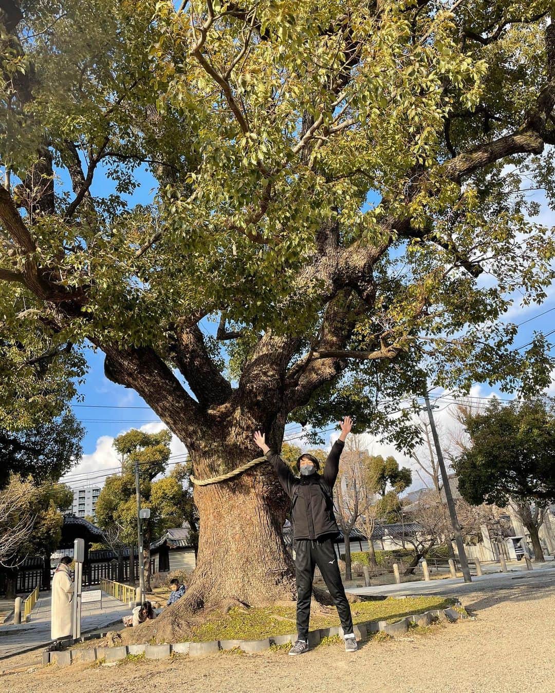 ジェット菅原さんのインスタグラム写真 - (ジェット菅原Instagram)「木だ！  #木」2月19日 19時31分 - jet_sugawara