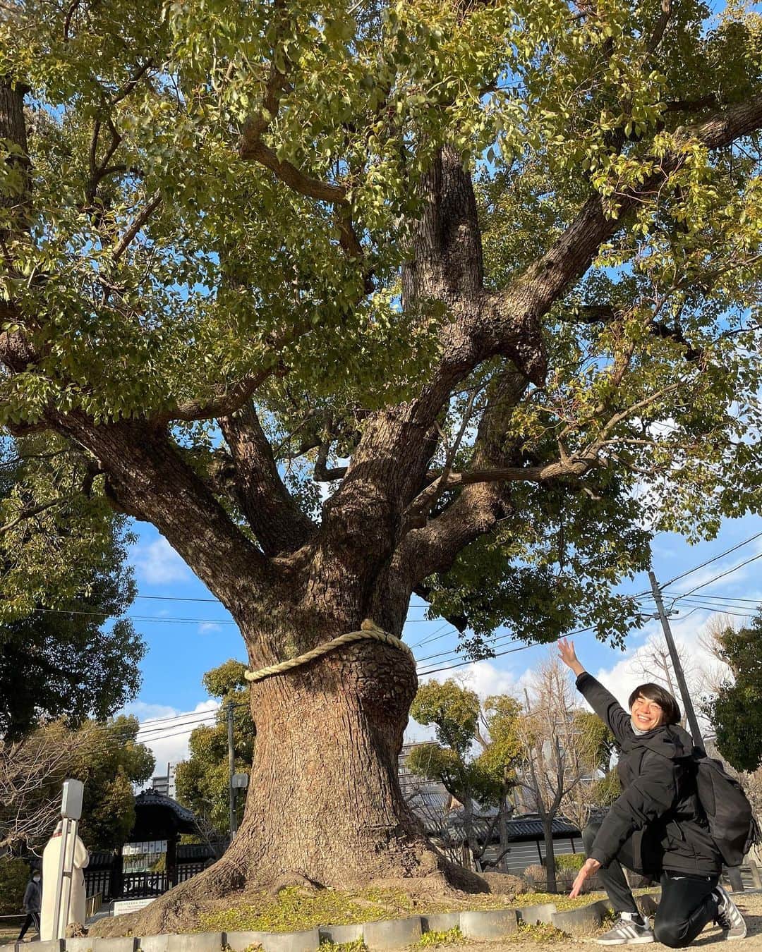 のインスタグラム：「木だ！  #木」