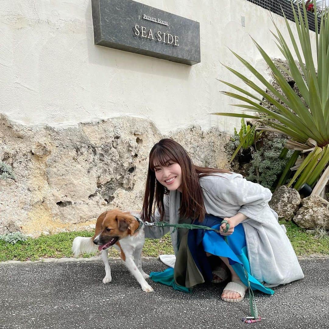 櫻井麻美のインスタグラム：「共演してくれたMauiちゃん🐕 @389wonderbeach の看板犬 ・ #みゃーくわんだーびーち  #宮古島 #伊良部犬」