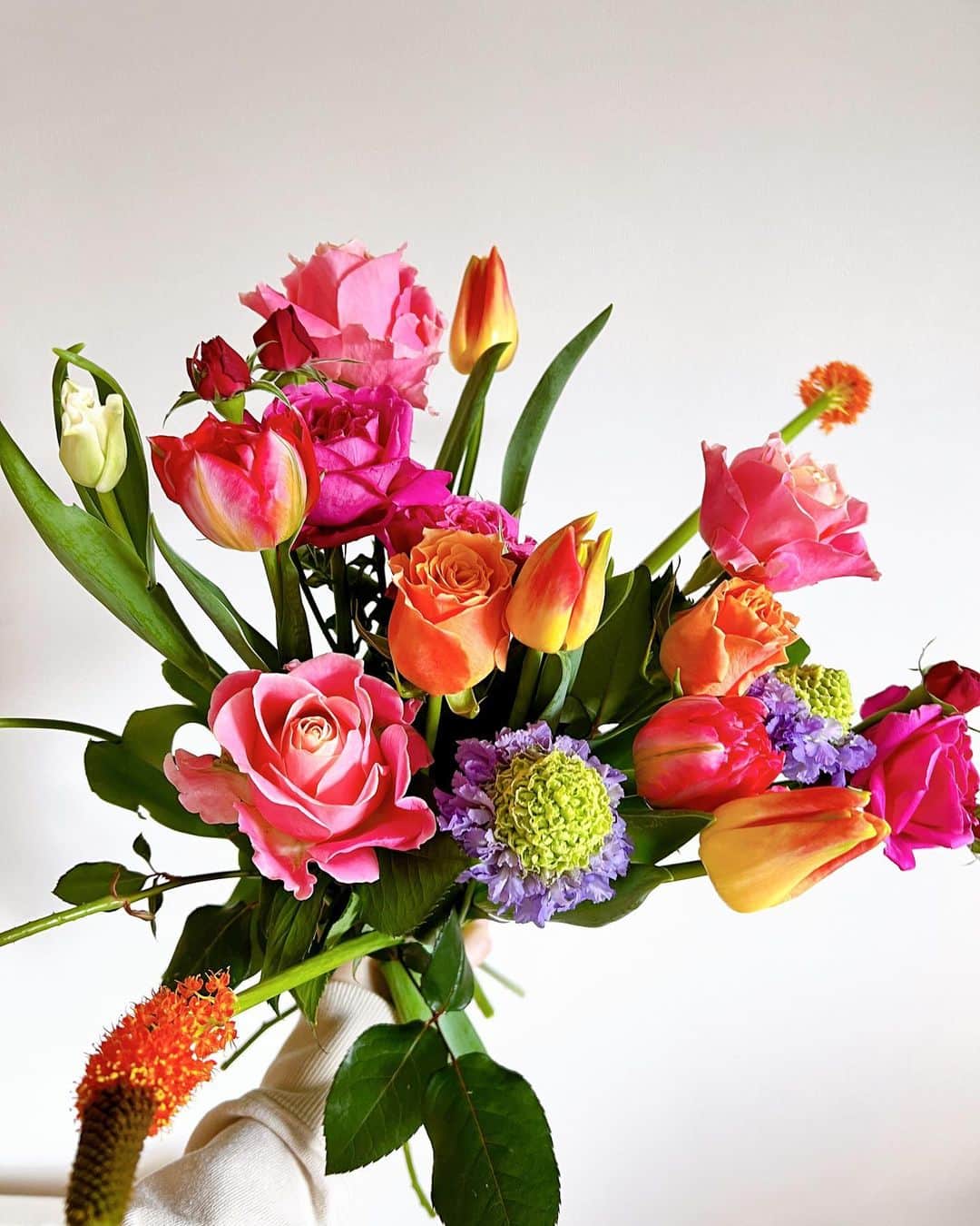 イアリサのインスタグラム：「毎週花屋に行くこと２年くらいなんだが 最近花たちが春の花になってきた💐  #今日は近所の友達のラブラドールにも会えたし１９歳のダックスフンドともお話しできたし基本相方以外と東京で会話してるのは犬か猫 #近所に犬と猫の友達がめっちゃいる」