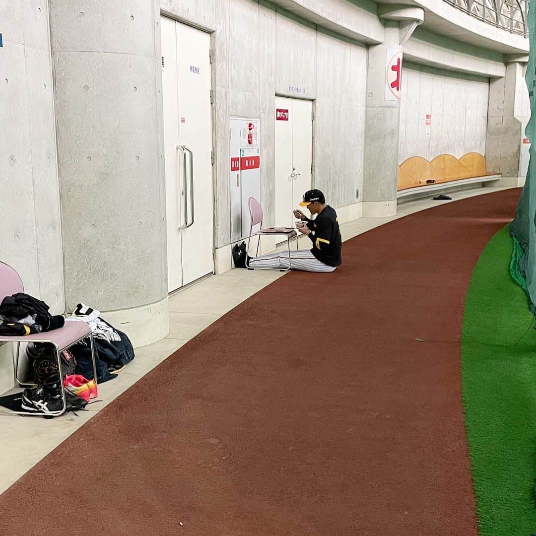 阪神タイガースさんのインスタグラム写真 - (阪神タイガースInstagram)「今日のランチタイムも糸井選手を探しに行ったら、カレーを見つめていました。  #糸井嘉男 選手 #カレーライス #寂しいわけではありません  #春季キャンプ #阪神タイガース #イチにカケル！」2月19日 14時33分 - hanshintigers_official