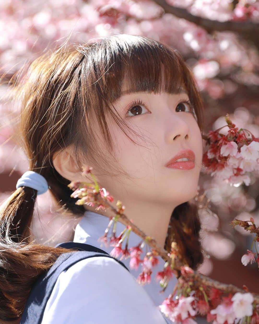 茶叶小果のインスタグラム：「熱海の桜が咲きました🌸」