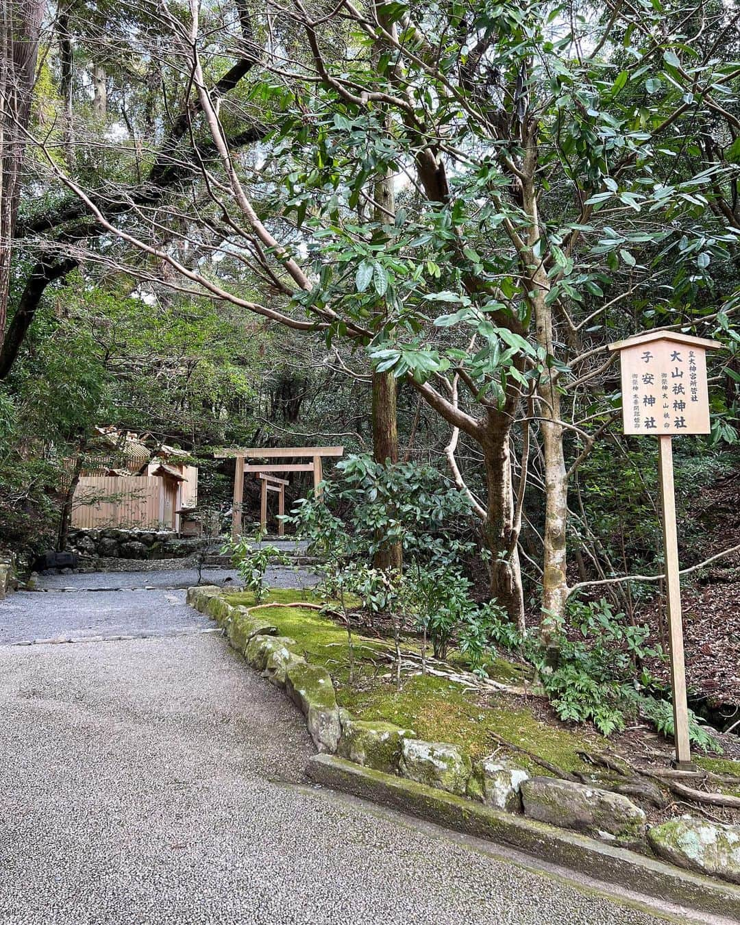 春咲ひなたさんのインスタグラム写真 - (春咲ひなたInstagram)「伊勢神宮は毎年行ってるけど 今年は出産控えてるし内宮の中にある #子安神社 にも行ってきた⛩✨ . 【木華咲耶姫神】＊このはなさくやひめ 女性の神様で嫁いで一夜で子供を身ごもったって神話から、安産・子授けの神様として祀られる様になったんだそう📝💭 鬼灯の冷徹に出てきてたなぁ…？とかって思ってニコニコしてた👸w . 本殿と逆方面だから一通り御参りして 休憩所のある【参集殿】で奉納用の鳥居を買って 最後に行くのがオススメ💮✨ . 鳥居を買ったらマジックペン貸してくれるから、絵馬みたいな感じでお願い事を書くんだって💡𓈒𓂂𓏸 鳥居をくぐって手前側が子安神社だよ✨ . お家の近くでも2人で御参りしたから 2回目の安産祈願みたいになっちゃったけど 無事に健康な赤ちゃんが産まれてきますよーにって事で🙏💭w . . #伊勢神宮#伊勢神宮内宮#子安神社#安産祈願#御参り#ひとり旅 #令和ベビー#令和4年ベビー#妊娠後期 #妊娠8ヶ月#29w#プレママ#初マタ#マタニティ#ぷんにー#ぷんにーらいふ」2月19日 17時24分 - hinatanuki