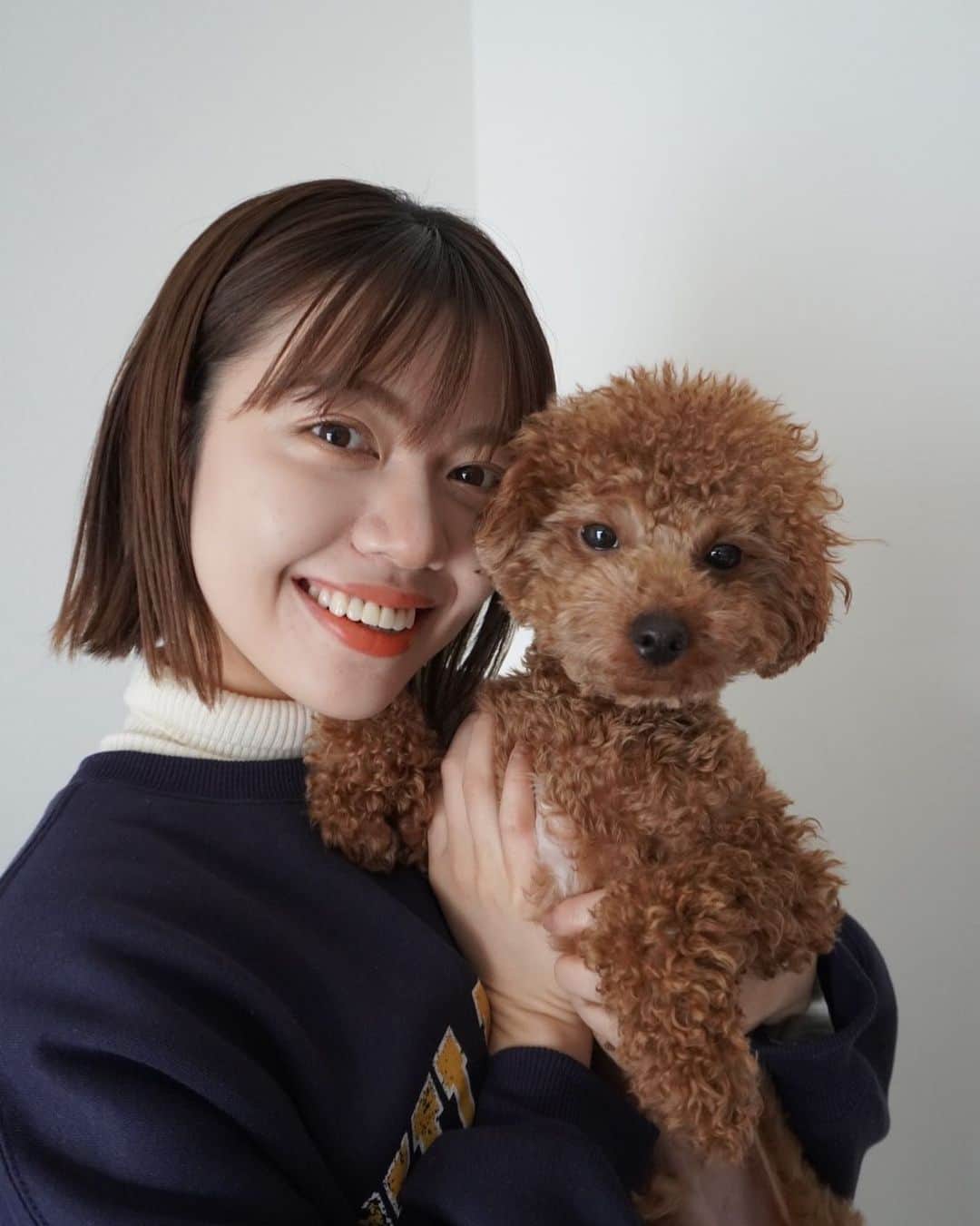吉田晴香のインスタグラム：「最近ちょっと落ち着いてきたロイズくん🐶🍫」