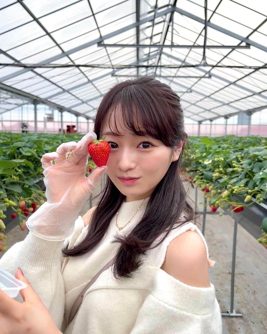 奥原ゆきのさんのインスタグラム写真 - (奥原ゆきのInstagram)「いちご狩りしてきた🍓 . いくらでも食べられる気がするけど、10分？15分位でお腹いっぱいになっちゃった😌 桃薫っていう品種が、いちごなのに桃の香り？風味？がして新鮮🙃🍑 色々食べ比べできて楽しかった〜  #いちご狩り #週末旅行 #白ニット」2月19日 21時03分 - yukino_okuhara