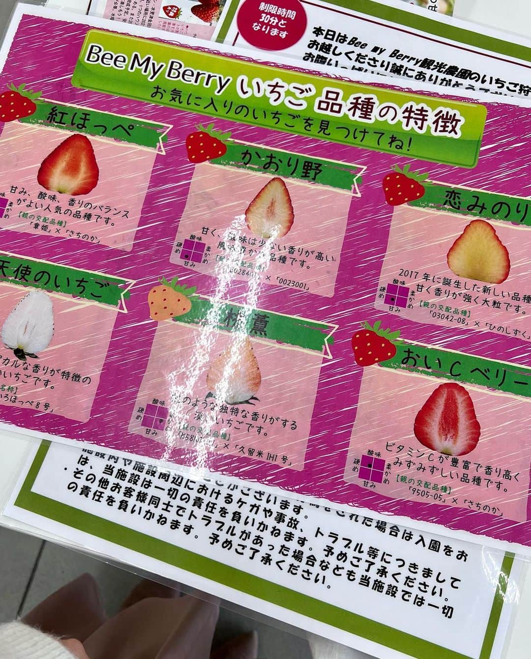 奥原ゆきのさんのインスタグラム写真 - (奥原ゆきのInstagram)「いちご狩りしてきた🍓 . いくらでも食べられる気がするけど、10分？15分位でお腹いっぱいになっちゃった😌 桃薫っていう品種が、いちごなのに桃の香り？風味？がして新鮮🙃🍑 色々食べ比べできて楽しかった〜  #いちご狩り #週末旅行 #白ニット」2月19日 21時03分 - yukino_okuhara