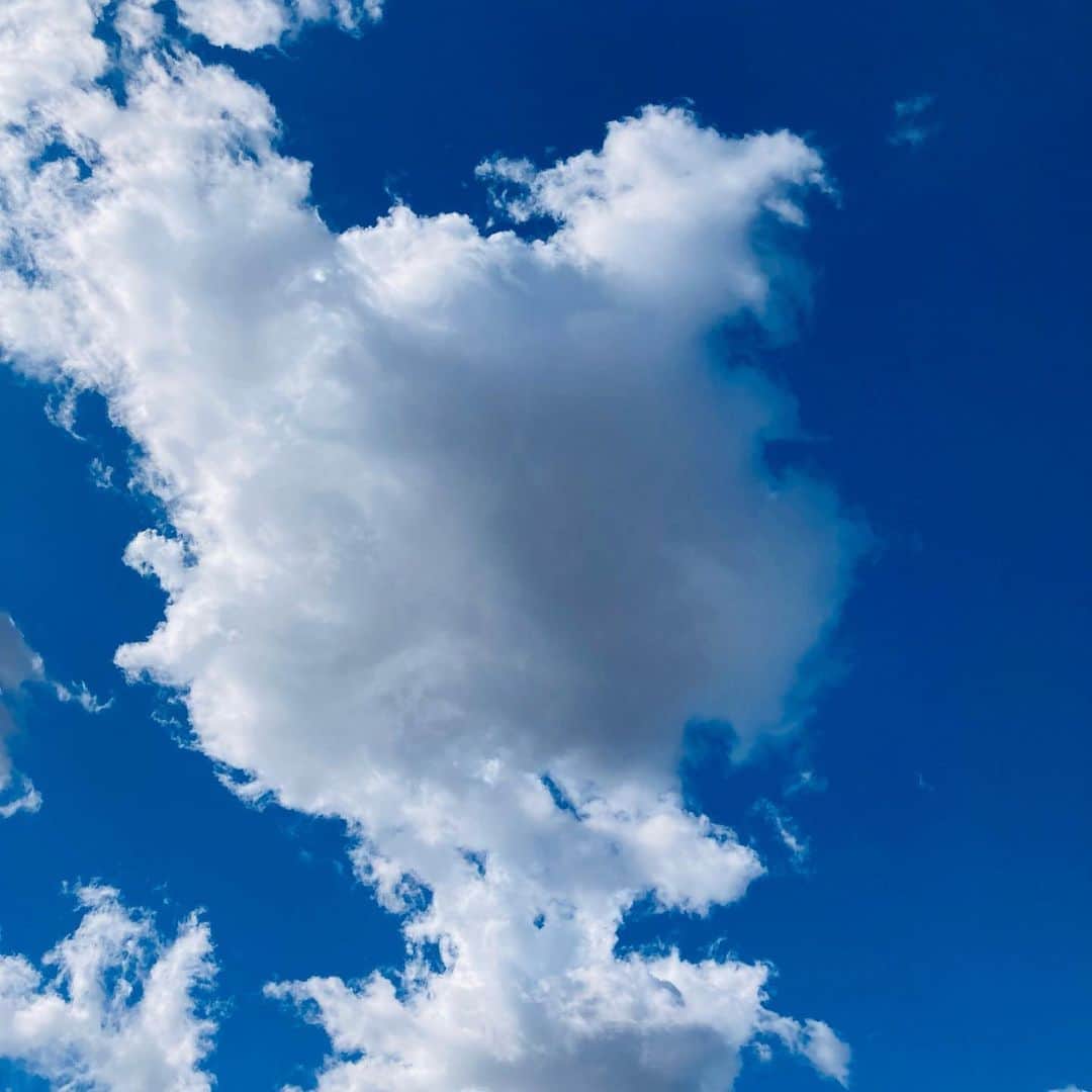 山岸愛梨さんのインスタグラム写真 - (山岸愛梨Instagram)「最近見た雲で1番可愛い雲。 見つけた瞬間、 連写してしまいました。笑  そしてiPadでさくっと描いたカービィが意外と可愛く描けて満足🥰笑  今日はこのあとウェザーロイドちゃんの付き添いです。 遅めの24時05分からの出演ですが、夜更かしできる方はぜひ。（詳しくはTwitterの告知見てね🙇‍♀️）  #ウェザーニュース　#ウェザーニュースLiVE #ウェザーロイド　#ポン子　#この雲何に見える　#パレイドリア現象 #カービィ」2月19日 21時58分 - airi_yamagishi