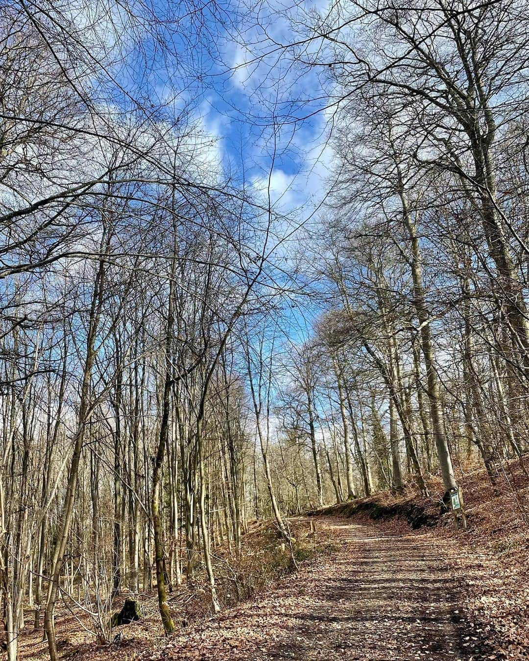 アグネス・ザワツキーさんのインスタグラム写真 - (アグネス・ザワツキーInstagram)「Decided to match the sky today ⛅️」2月20日 0時07分 - agnes_zawadzki