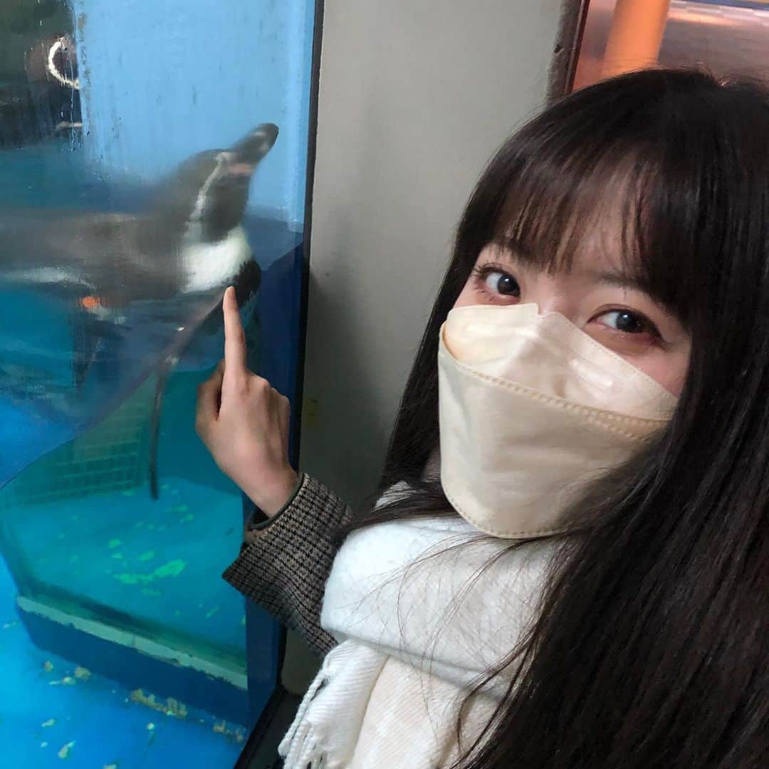 東城茉里のインスタグラム：「ガラス越しに片目づつ見てくるペンギン可愛かった！ 水族館たのしいねえ　ずっといれるねえ」
