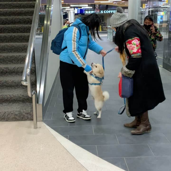 ジェン・サイサイのインスタグラム：「YUANBAO ❤️」