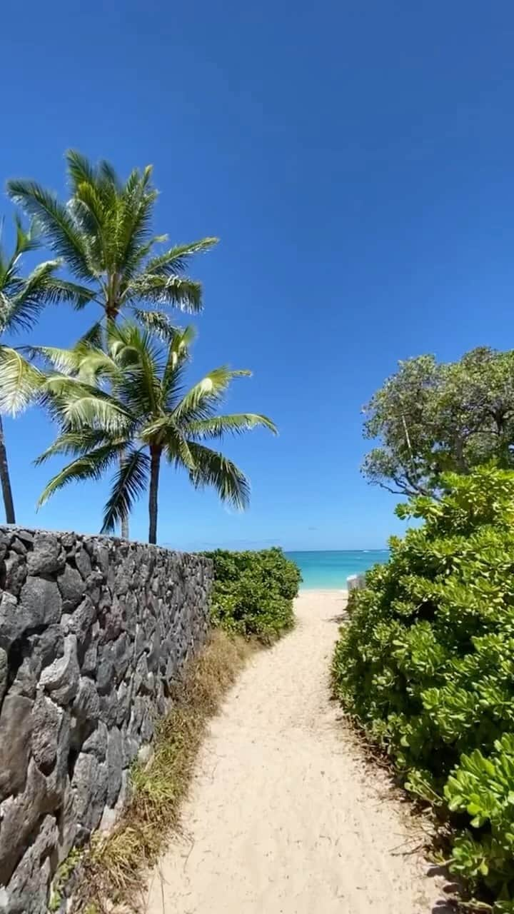 COCOのインスタグラム：「Hawaii ❤️❤️❤️ #beautiful #beautiful___travel #beautifuldestinations #beach #tropical #honolulu #whale #ocean #hawaiilife #beachday #ハワイ#ビーチ#海#ヤシの木 #クジラ#イルカ#drone #djiglobal」