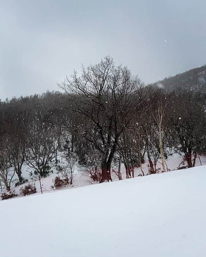 コトリッチのインスタグラム：「雪と山  もうすぐ春がやってくる」