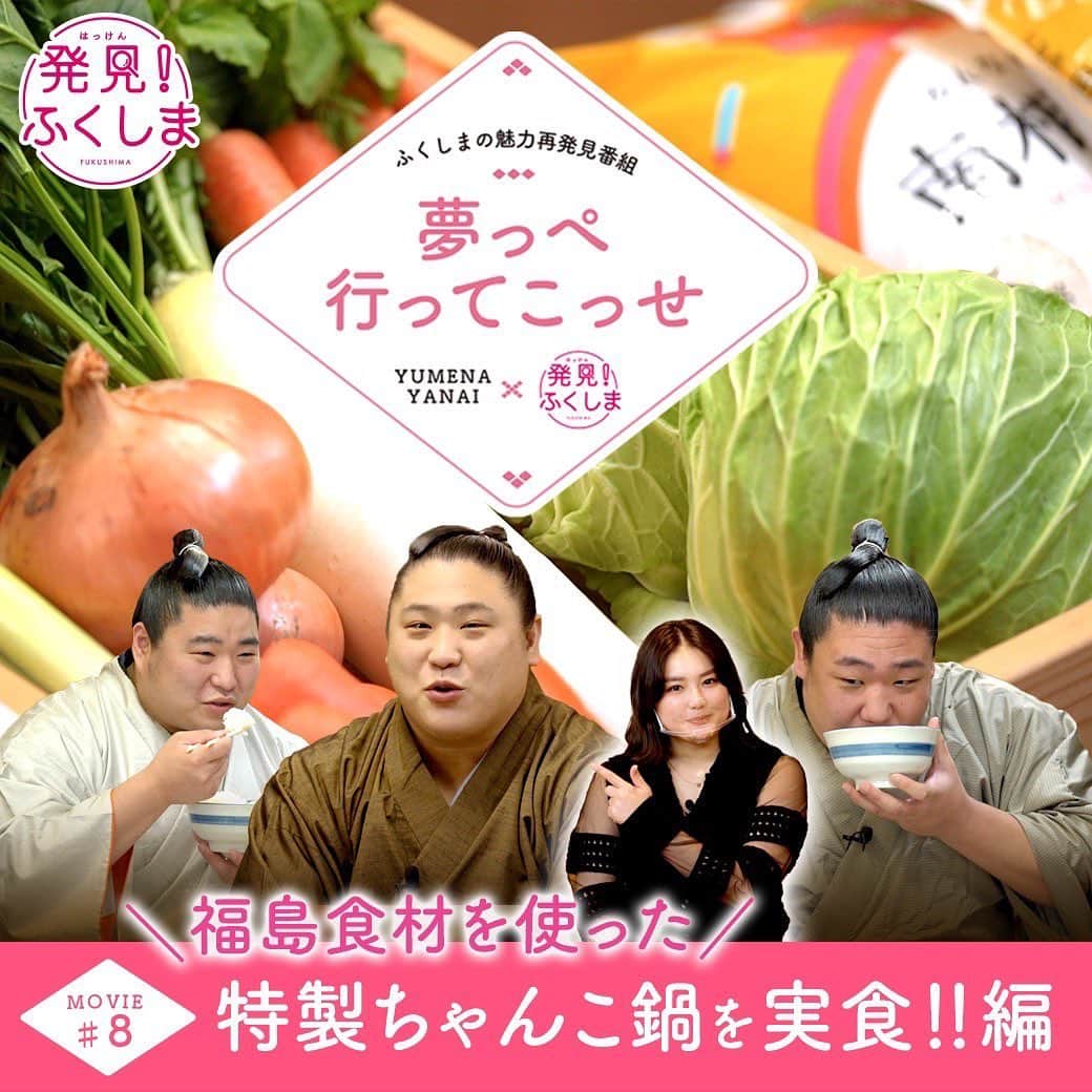 箭内夢菜のインスタグラム：「🥕🍅🥦🧅  「発見！ふくしま」連載動画企画の第8話が公開されました。  前回に引き続き、相撲界で話題の福島県出身の大波三兄弟が所属する荒汐部屋にお邪魔しております。  今回は、私がちゃんこ番の皆さんと一緒に福島食材ををふんだんに使用した特製のちゃんこ鍋を作りました！  ぜひ、ご覧ください！！  動画を見るにはYoutubeで「発見！ふくしま」で検索していただくか  「発見！ふくしま」のWEBサイトからご視聴いただけます。  ストーリーやハイライトにリンクを貼るので、そちらからもぜひ︎☺︎」