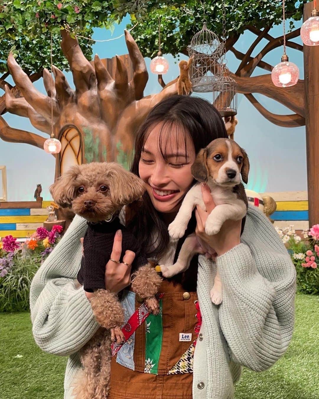 大政絢のインスタグラム：「@doubutsupeace   🐕❤️🐈‍⬛  可愛い子たちに囲まれて幸せです❤️  #愛犬なちゅ#どうぶつピース」
