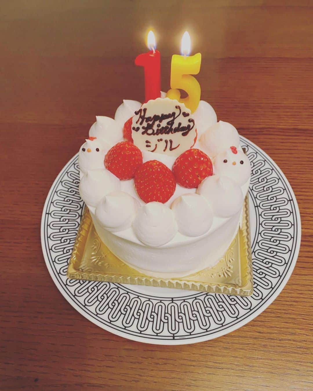 DAIGOさんのインスタグラム写真 - (DAIGOInstagram)「2月20日は  我が家の愛猫、ジルくんの誕生日🎂  15歳になりました！  嬉しいですね☺️  本当に家族です。  長生きしてもらうためにも、しっかりケアしていきます。  これからも大切に。  #ジル #誕生日 #ケーキはもちろん人間が食べました #娘はケーキが大好き #猫 #メインクーン #かわいい #かっこいい #よく乗ってくる #昔は犬派 #今は猫派 #でも犬も好き #みなさんはどっち派？」2月20日 22時49分 - daigo_breakerz_