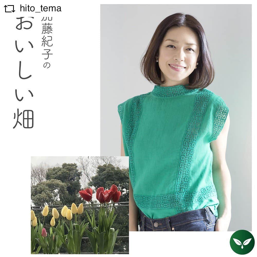 加藤紀子さんのインスタグラム写真 - (加藤紀子Instagram)「hitotemaさんで連載中の エッセイ 「加藤紀子のおいしい畑」 新しいエピソードがアップされました。 今回は手作りカーテンのお話。  お付き合いいただけたら嬉しいです😊  #REPOST @hito_tema with @get__repost__app  カーテンと畑。  一見何の関係もないそのふたつが、 ごく自然に重なっていく、今回のお話。  絵画のような窓の外の景色。 座っている加藤さんの姿が思い浮かぶような 温かな生活が感じられるテーブルと椅子。  そして長年の親友である畑メイトさんと作った、 お部屋にぴったりの新しいカーテン。  そして、締めはやっぱり加藤さんらしく… 季節を感じる美味しい食事とワイン🍷 どんなお料理が登場するかは、お楽しみに🍲  サイトへのリンクはプロフィールページから。 @hito_tema 加藤紀子さんアカウント @katonoriko  #hitotema #ひとてま #加藤紀子 さん #カトノリ農園 #加藤紀子のおいしい畑 #加藤によだれ #repostios #repostw10」2月20日 16時05分 - katonoriko