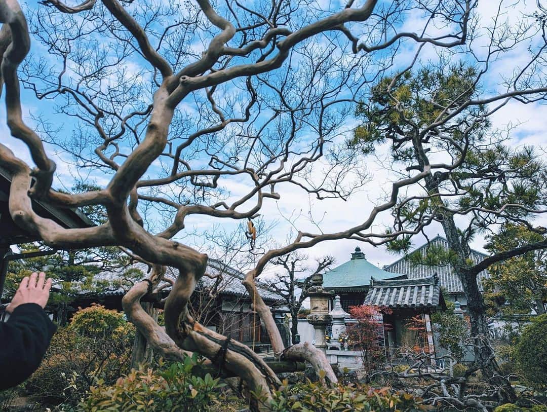 寺井幸也さんのインスタグラム写真 - (寺井幸也Instagram)「奈良町を朝散歩してたら 国宝が✨なんか凄いですね😂 至る所に歴史感じる建物や 文化を感じるものが。。 奈良には国宝が1000以上、 史跡名勝天然記念物が150近くあったりと もはや日常の中で触れらる町。 凄いなぁ〜 2．3日じゃ足りないね。 　　　　 もちろん鹿とも戯れました✨ 　　　　 #紀寺の家  #奈良の日常を旅する」2月20日 17時56分 - yukiya.terai