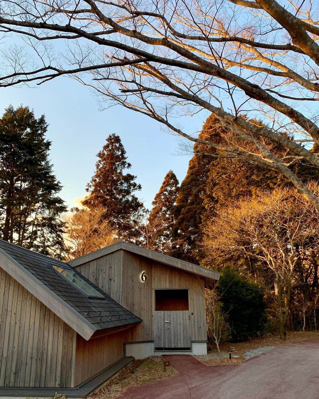 志田友美（ゆうみん）のインスタグラム：「🍂🤎  ここの雰囲気も食事もケーキも大好きなの💭 定期的に行きたいなって思う場所。」