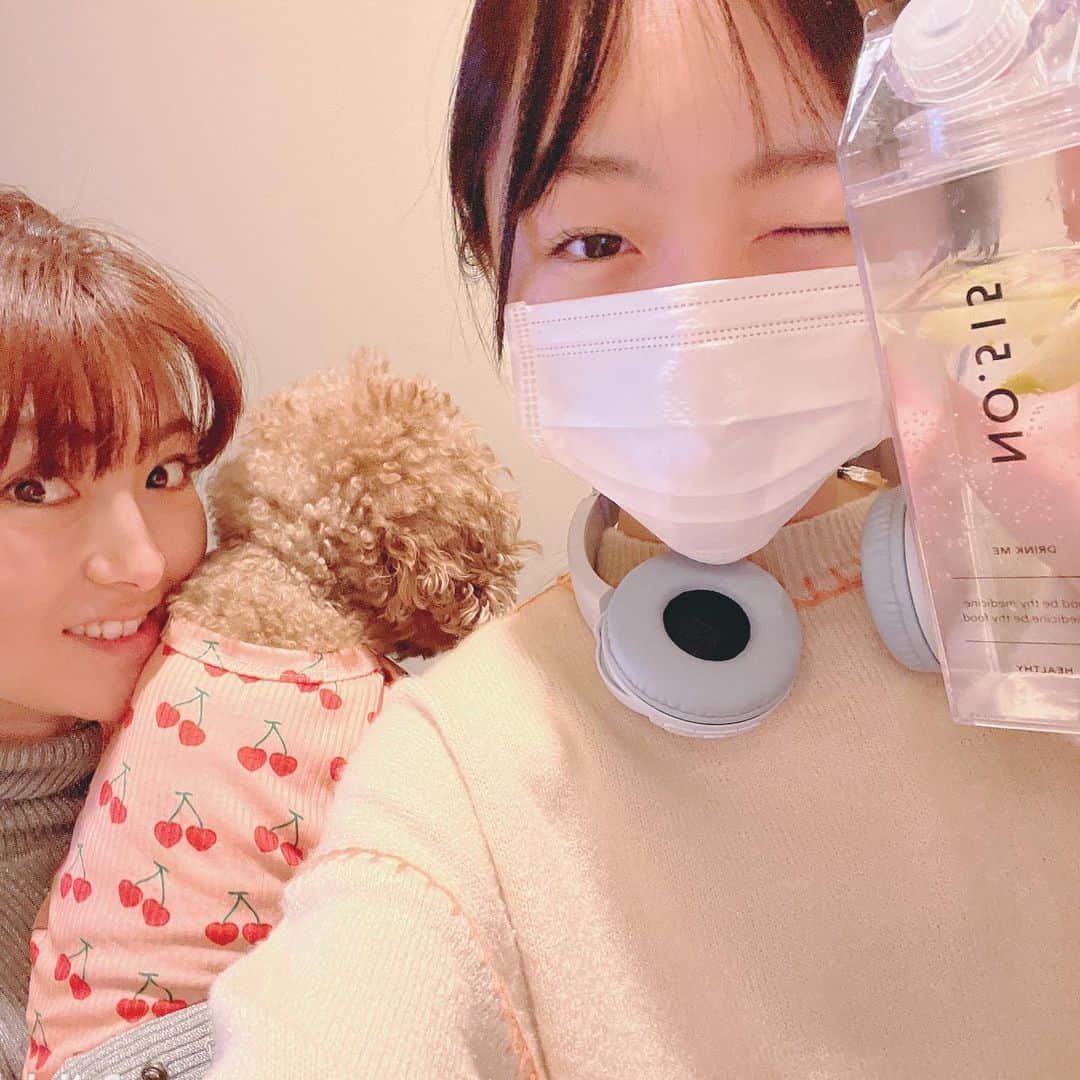 のインスタグラム：「明日がテストなんて信じたくない事実です…🤦‍♀️  これは、勉強をしに図書館に行く前の- ̗̀📷 ̖́-  いつもお見送りをしてくれるママとピノです🐶🍒 (5日に1回くらいはアロマもいます🐶)  明日は実技教科から！🖊 落ち着いて頑張ろう💪❤️‍🔥   #ひまひまチャンネル #ひまひま #テスト」