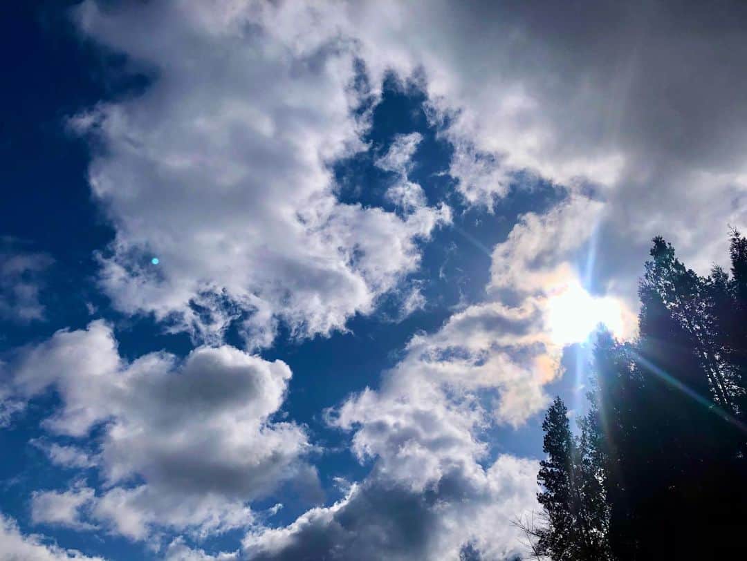 白戸ゆめのさんのインスタグラム写真 - (白戸ゆめのInstagram)「☀️ . 気持ちよかった〜✨ もう少し上手くなれるように 今年はもっとラウンド回る！」2月20日 21時34分 - yumeno.s_