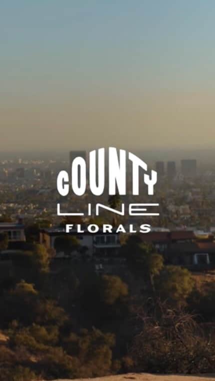 アビゲイル・スペンサーのインスタグラム：「We wanted to help tell our floral story so we can be a part of yours. You’re easy to love Los Angeles. #countylineflorals   Thank you @marcmalkin & @variety for premeiring our first County Line Presents: Flowers In My Teeth (The County Line Song)  And a deep thank you to my whole rockstar CLF team for bringing this little dream to life. You are the best. I’m looking at you Jess/Sal. Gaines/Pete. Maria/Brad, unbelievable what you did with a voice memo :). And Ryan for tying it all together & working & Emily for keeping us on the rails. 🙏🏼🙏🏼🙏🏼  TEAM: Directed by: 🙋🏻‍♀️ Produced & florals by: Team CLF – AS, Jessica Lopez, Ryan Dwyer, Sally Darquea, Emily Perry.   Video production:  Butter EP: Judson Morgan DP: Gaines Minton Editor: Lucas Cocicov G&E: Justin Juntilla   Music: "Flowers In My Teeth (The County Line Song)" Abigail Spencer: lyrics/music/vocals  Maria Taylor: music/vocals/produced by. Brad Armstrong: music/produced by.」