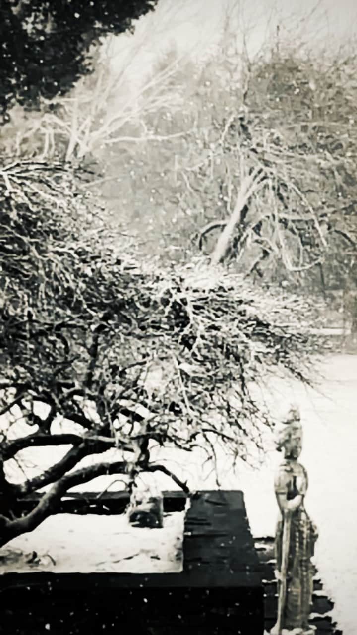 エイドリアン・ブロディのインスタグラム：「❄️ #happy #gloomysunday ❄️」