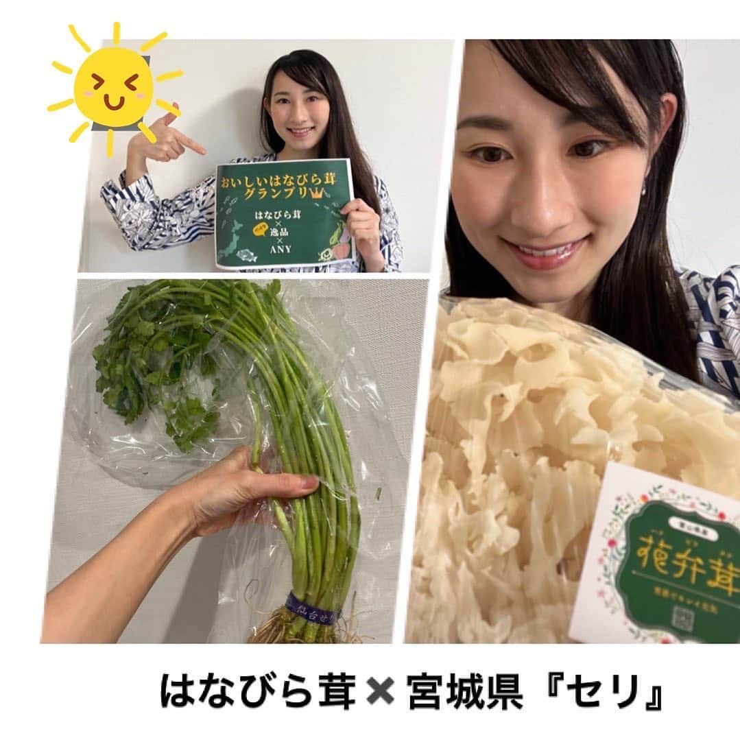 宍戸真詩美のインスタグラム：「はなびら茸グランプリ‼️ はなびら茸✖️宮城県のセリを使用したレシピをご紹介🙆🏻‍♀️  はなびら茸はβグルカンの含有量が35%以上と他のキノコよりも群を抜いているのが特徴の可憐で美しいキノコです。また極めて限られた場所でしか生息しないため幻のキノコと言われています。  一方宮城県のセリは、全国でもトップクラスの生産量です。七草粥でもお馴染みですね。セリも栄養価が高く、はなびら茸と抜群の組み合わせです。 今回はパスタを作りましたが、色合い良く仕上がりましたよ😆  このはなびら茸は、森の環さん @hanabiratake_morinowaのwebサイトで購入できます。 http://morinowa.co.jp/ 乾燥はなびら茸もありますよ♪  次は @ayano.sweets  木村彩乃さんです。 是非チェックしてみて下さい。  #花弁茸 #はなびらたけ #ハナビラタケ  #スーパーフード #宮城県　#セリ #料理#グルメ#レシピ #美容#便秘 #育菌 #美肌 #きのこ料理 #きのこ #健康#きのこ好き #森の環 #もりのわ#ビタミンD #βグルカン#はなびら茸グランプリ」
