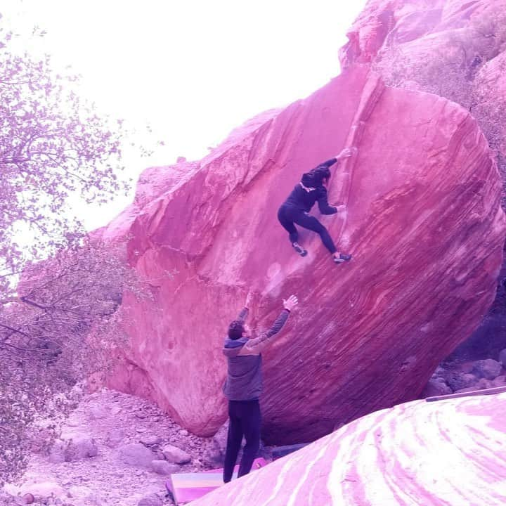 アレックス・パッチシオのインスタグラム：「Uncut footage of Meadowlark 🍋 Stand, V13/ 8B . Not the best footage, BUT I rather have a GOOD spot from @robinoleary 😁 ❤️ . What a sweet boulder! 100/100!!! 🙌 . @scarpana @organicclimbing @frictionlabs @kayaclimbing @roap.c @puccioleary」