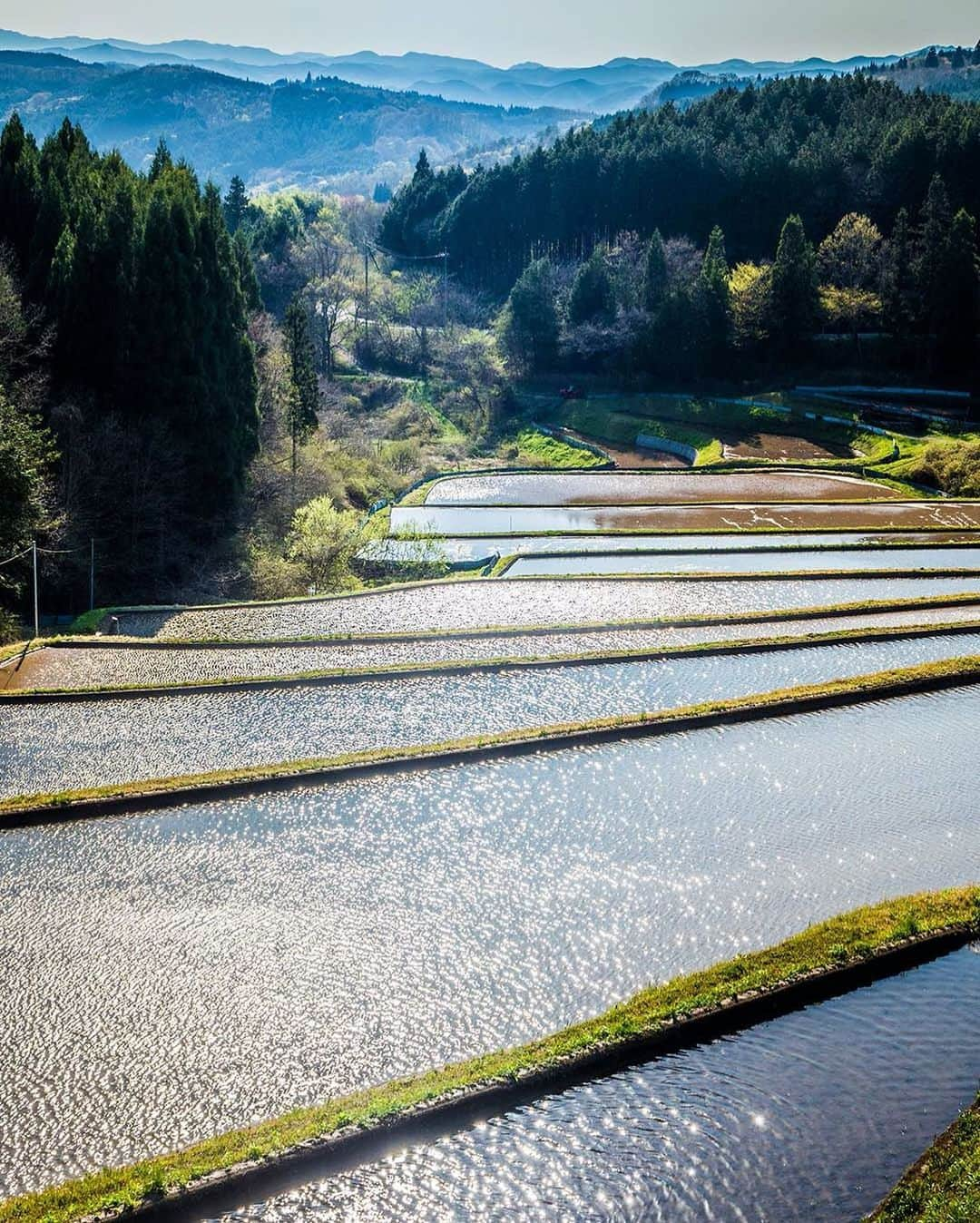 Bi Rod by Lumica.のインスタグラム：「Paddy field in spring.  In a few months rice planting season begins.  ■Photo by Takuma Kimura @takuma_kimura_photo ■Equipment Monopod：Bi Rod 6C-7500  #birod #birod6c7500 #highangle #highangleshot #aerialphotography #notdrone #olympus #olympusphtotography #olympuscamera #okayama #japan #japanphotography #japanphoto #photooftheday #photo_jpn #photo_japan #japantrip #japan_vacations #japanview #sceneryphotography」