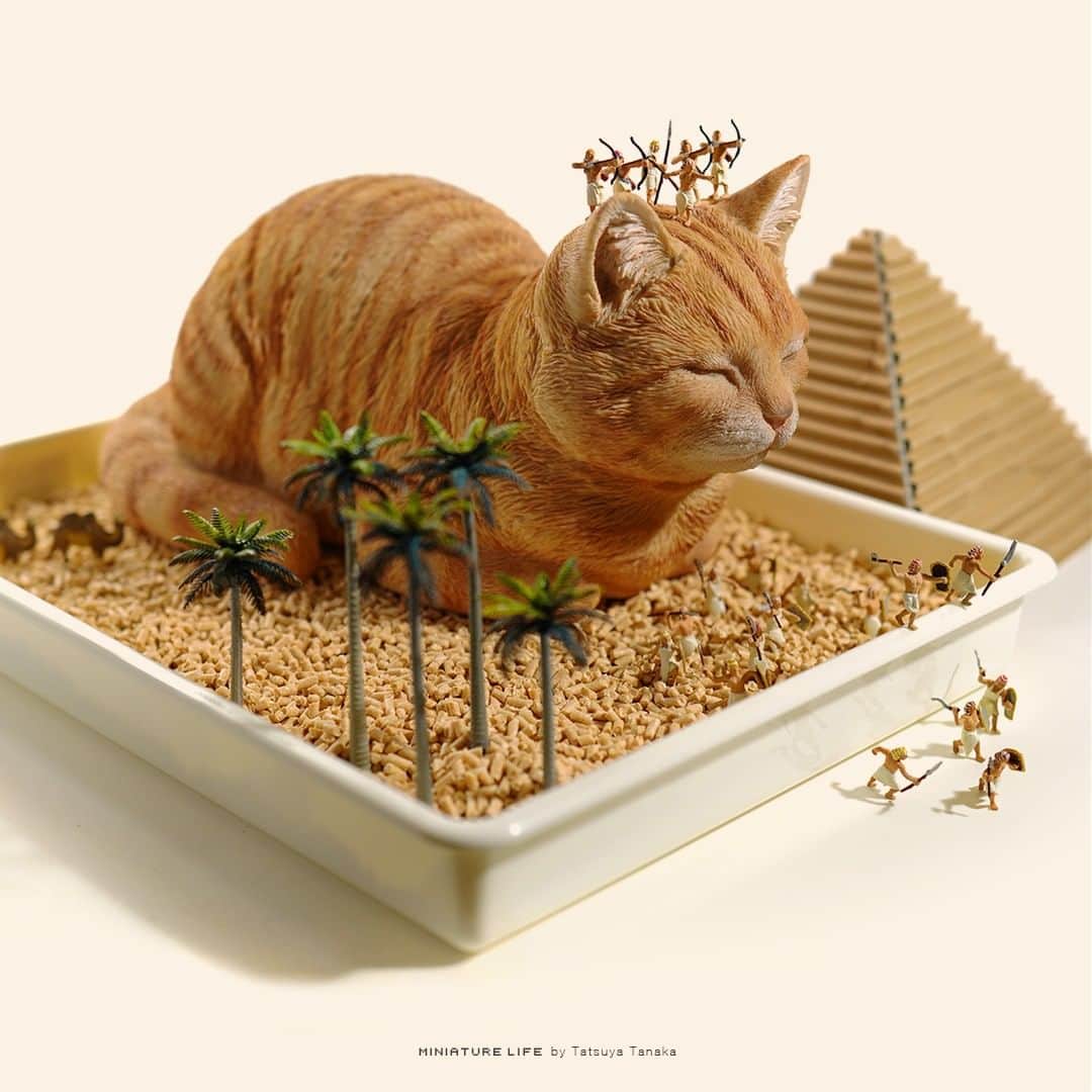 田中達也さんのインスタグラム写真 - (田中達也Instagram)「⠀ Cat Selection🐈 ⠀ #猫の日 にちなんで猫をテーマにした作品を集めました。 ⠀」2月22日 12時10分 - tanaka_tatsuya