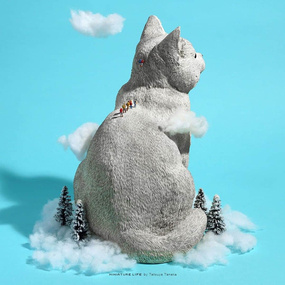 田中達也さんのインスタグラム写真 - (田中達也Instagram)「⠀ Cat Selection🐈 ⠀ #猫の日 にちなんで猫をテーマにした作品を集めました。 ⠀」2月22日 12時10分 - tanaka_tatsuya