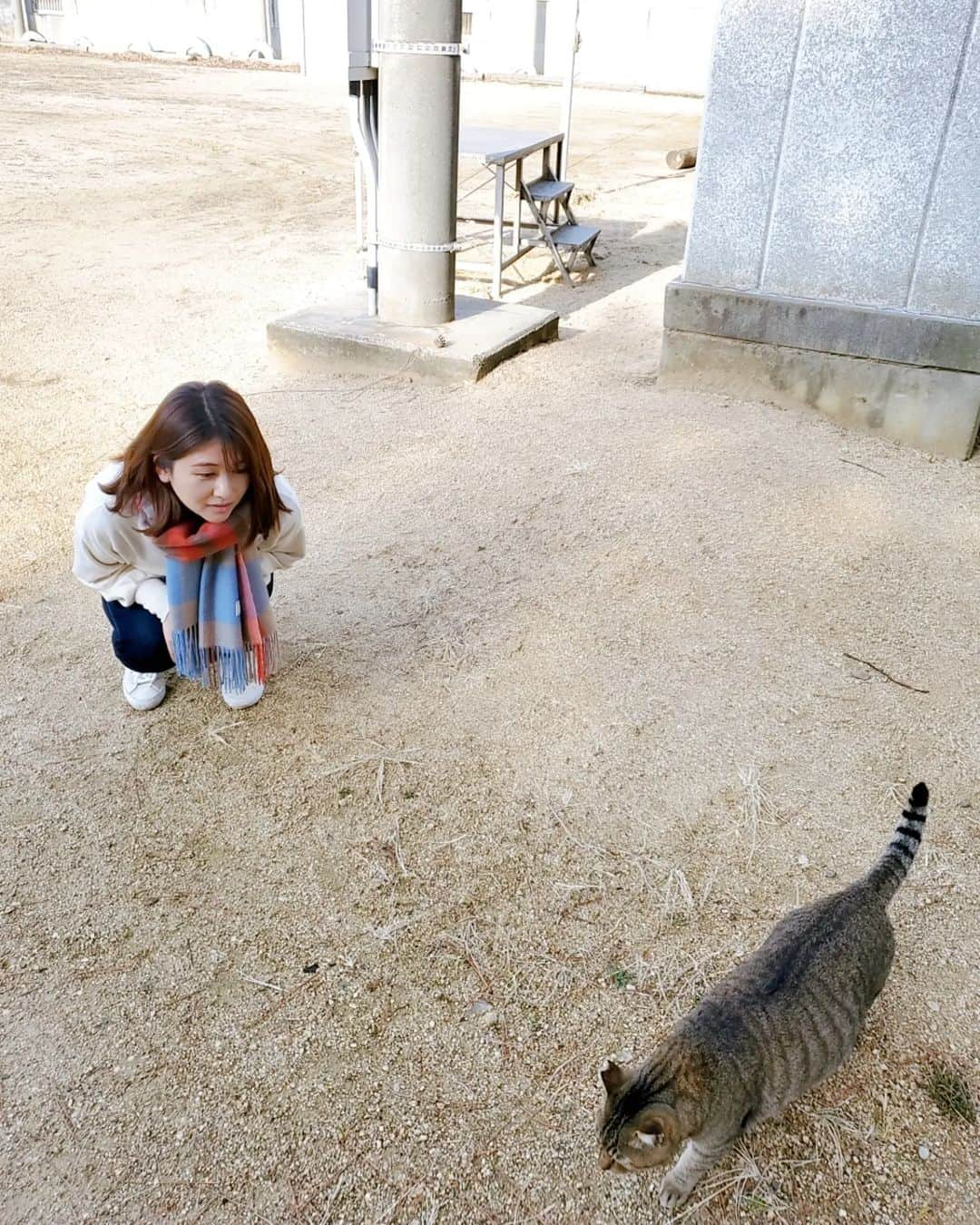 鈴木理香子のインスタグラム：「2022年2月22日🐱今日は猫の日  猫の皆さん、すみません💦 私、🐱アレルギーでして😂 🐱に近寄ることができず…  犬を飼っていたので分からなかったのですが 高校生の時、友人宅で初めて🐱を抱っこしましたら くしゃみと蕁麻疹が止まらず😂😂😂  でも見た目は好きなので 🐱グッズは持ってます☕💕  #ねこ #猫の日 #🐱 #過去pick #鈴木理香子」