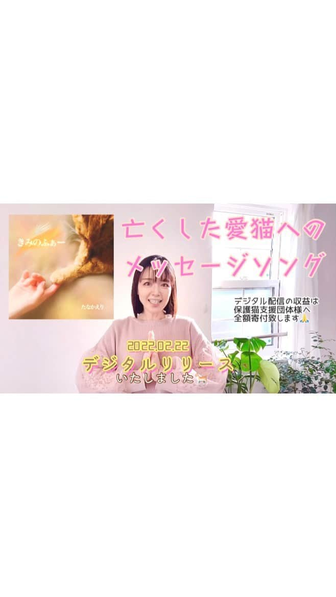 たなかえりのインスタグラム：「2022.02.22 digital release たなかえり1st Single『きみのふぁー』 デジタル配信ストアリストページ▷ https://linkcloud.mu/4a1e799e （ストーリーズにリンク貼っておきます🌸）  こちらのデジタル配信の収益は全額保護猫支援チャリティー募金へ寄付致します。  🌸大切な存在をなくされた方へ。  辛いですよね。 悲しいですよね。 あの子を思い出すたびに、もっと何かできたんじゃないか。 私の元で幸せだったのだろうか。 こんなにも私から愛を引き出してくれたのに、私はあの子に何を返す事ができたのだろうか。  そんなふうに考えては泣いてばかり。  そんなお気持ちが痛いほどわかるから、 泣かないで。 元気を出して。 と簡単に私は言えません。  だけど 同じ経験をして 同じ悲しみを抱えている人間がひとり、 ここにもいます。  簡単にはその悲しみは癒えませんが、たくさんの愛を教えてくれたあの子に感謝して日々を過ごしていきましょう。  いつか虹の橋でまたあの子と逢える日までに、笑顔に戻れますように。  #虹の橋 #ペットロス #ペットロスソング #ペットロス #ペットロス猫 #ペットロス曲 #虹の橋猫  #猫の日」