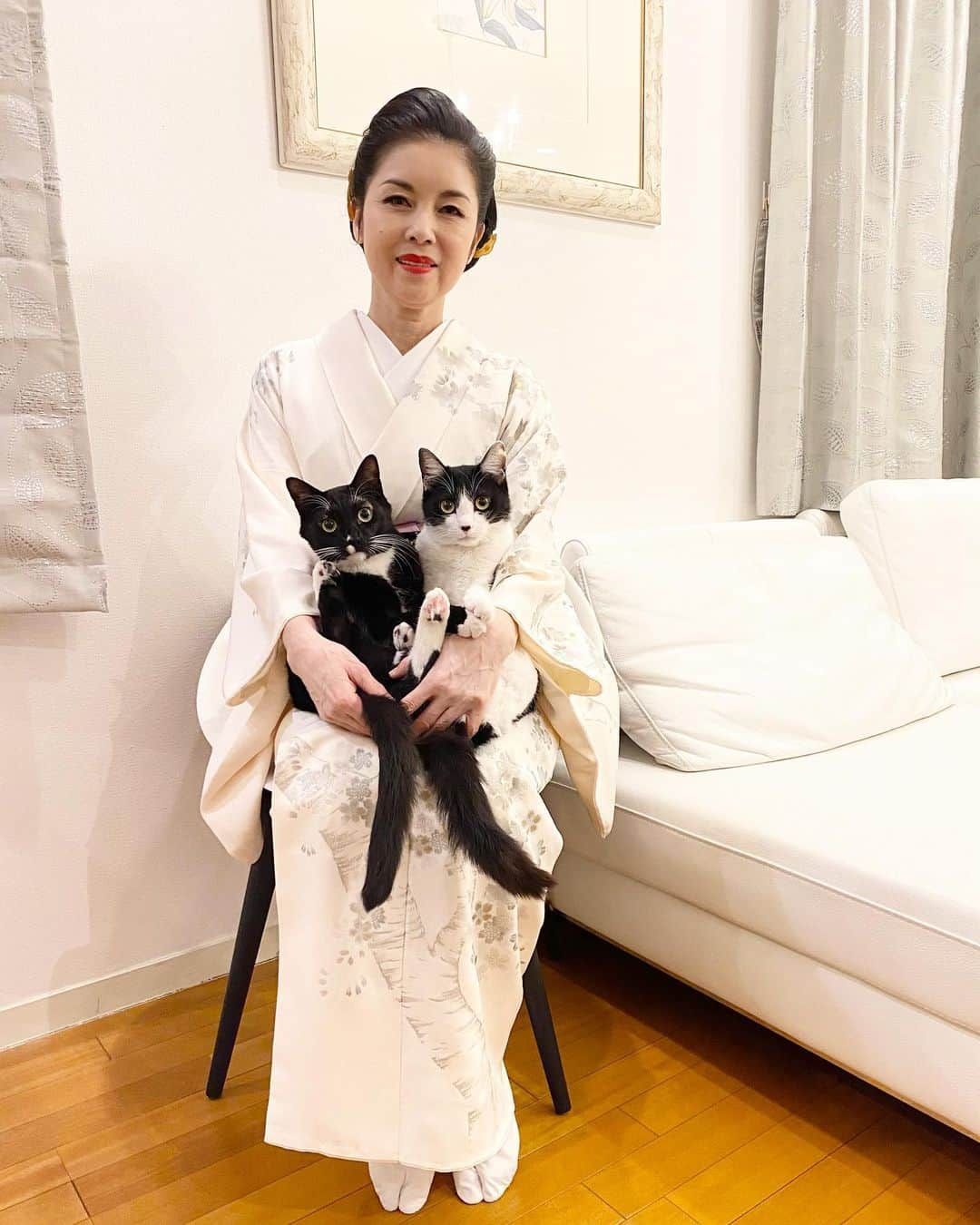 藤あや子さんのインスタグラム写真 - (藤あや子Instagram)「【寄付のご報告】  本日、2022.2.22 「スーパー猫の日」に  マルオレチャリティーグッズの収益から下記の動物愛護団体様に寄付させて頂きました。  1.おーあみ避難所 様 ¥222,222  2.秋田県動物愛護センター 様 ¥300,000(物資提供) (幼猫用ミルク、キャットフード、猫用ケージ)  計¥522,222  マルオレチャリティーグッズをご購入くださいました皆さまありがとうございました。 1匹でも多くのワンちゃん、猫ちゃんが幸せに暮らせるように微力ではありますが引き続き保護猫活動に注力して参ります。  #猫の日 #スーパー猫の日 #にゃんにゃんにゃんの日  #マルオレ #保護猫活動 #チャリティーグッズ #おーあみ避難所  #ワンニャピアあきた」2月22日 10時02分 - ayako_fuji_official