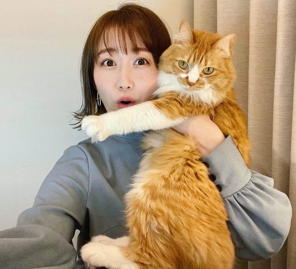 津田麻莉奈さんのインスタグラム写真 - (津田麻莉奈Instagram)「今日は猫の日だったらしい  −−−−−−−−−−−−−−−−−−−−  #猫の日 #虎太郎 #こたろう #雑種猫 #ミックス猫 #ねこ　 #ねこ部 #ねこすたぐらむ　 #猫#猫好き #catstagram #catphoto  #catlover#고양 #instacat#cat #まりなる #津田麻莉奈」2月22日 20時58分 - tsudamarinal