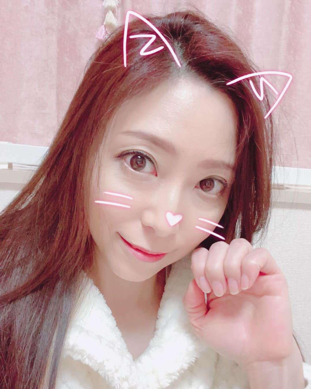 白木優子のインスタグラム：「ニャンニャンの日 by シニャキユウコ #猫の日」