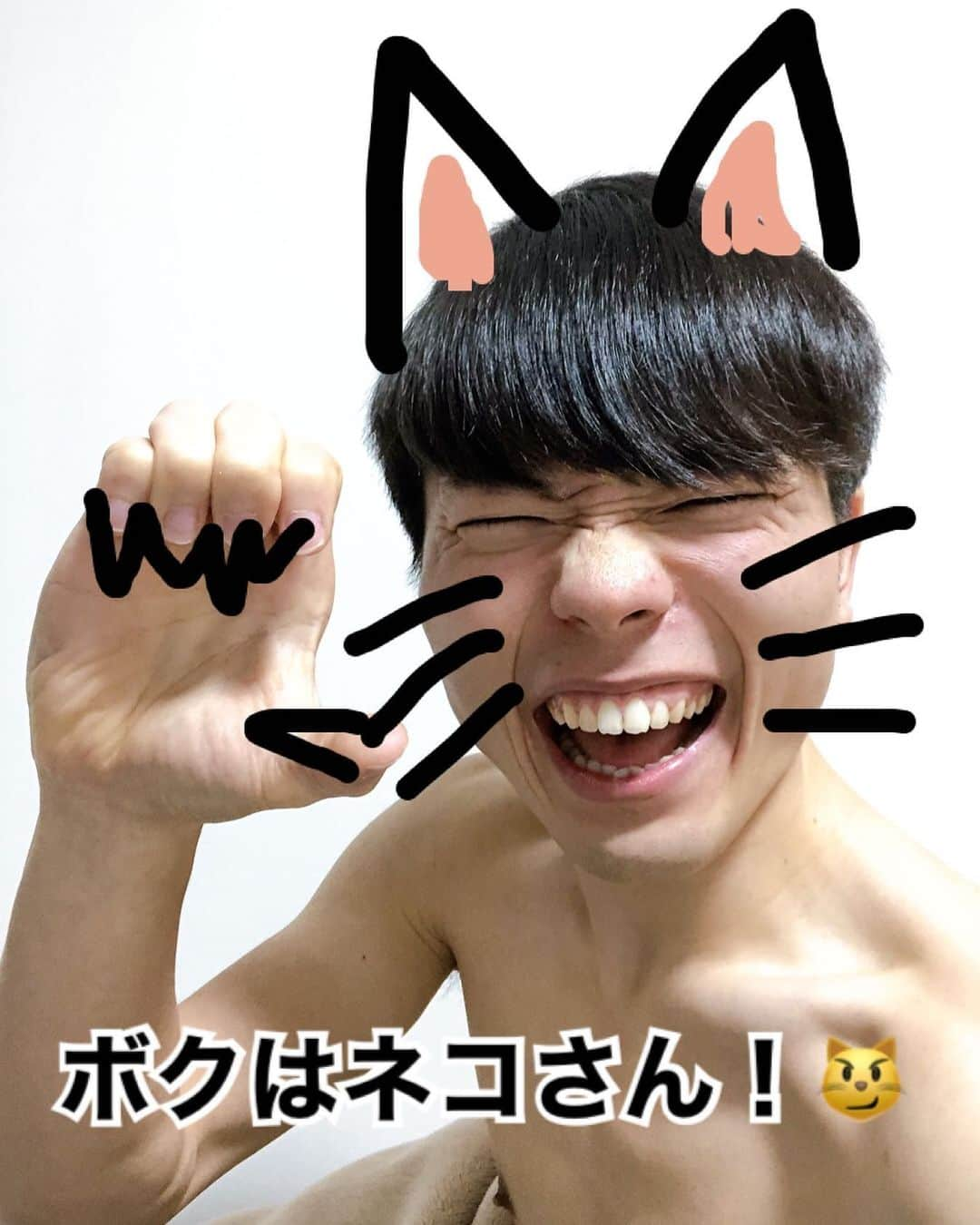 ブレイクスルー佐々木のインスタグラム：「ボクはネコさん！😼 #ねこのひ #ねこがすき #かわいこちゃん」