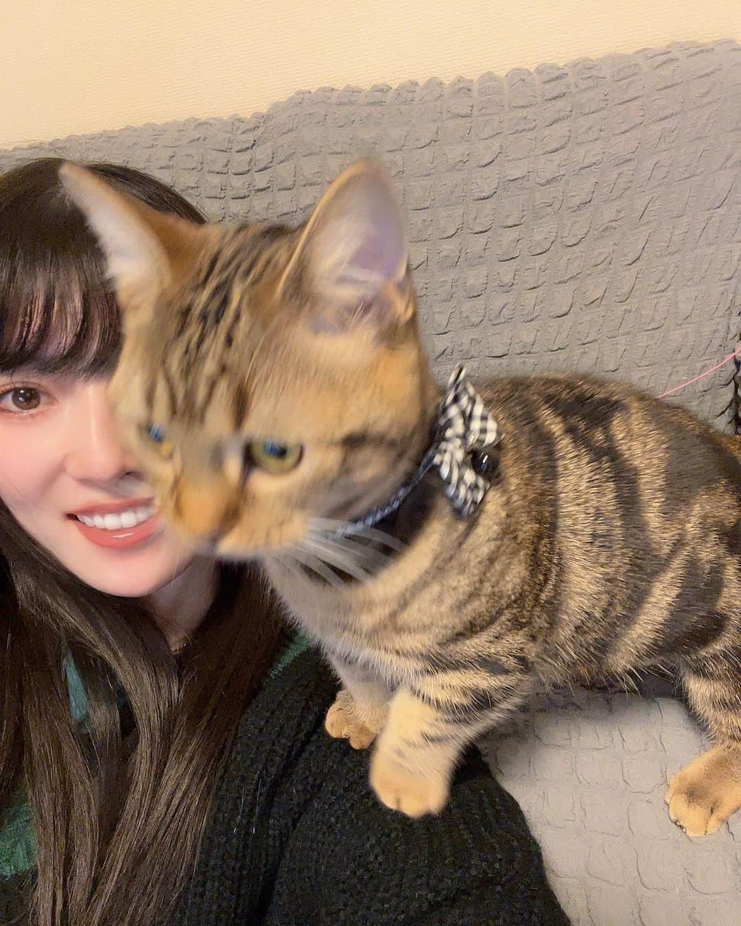 日下部美愛さんのインスタグラム写真 - (日下部美愛Instagram)「撮るのにとても苦戦した2ショットです #猫の日 #にゃんにゃんにゃんの日   #猫 #cat #고양이 #マンチカン #photo #japan #model #me #hair #fashion #selfie #makeup  #followme #instagood #camera #instadaily #dailylook」2月22日 21時21分 - miakusakabe_official