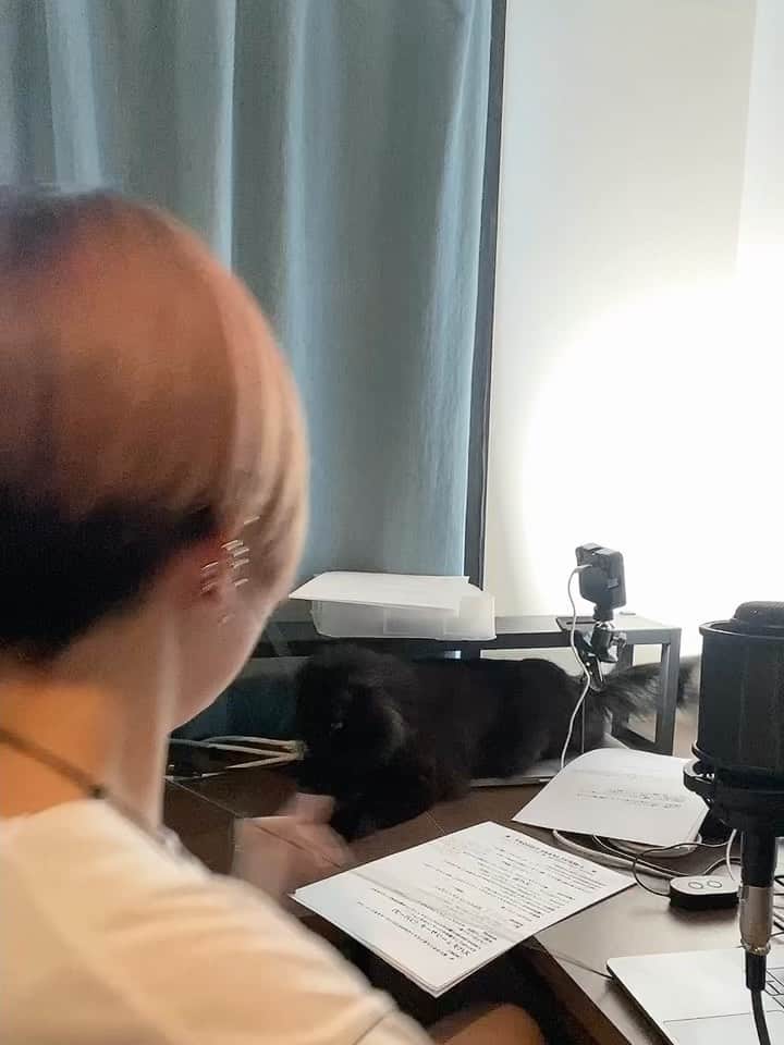 のインスタグラム：「今日24時からはJ-WAVE SPARK！ 今日は #猫の日 やぞ〜 自宅からビビと一緒にリモート収録でお届けです  こんなにワルです みんな聴いてくれるん？  #スパチュー #sp813 #jwave」