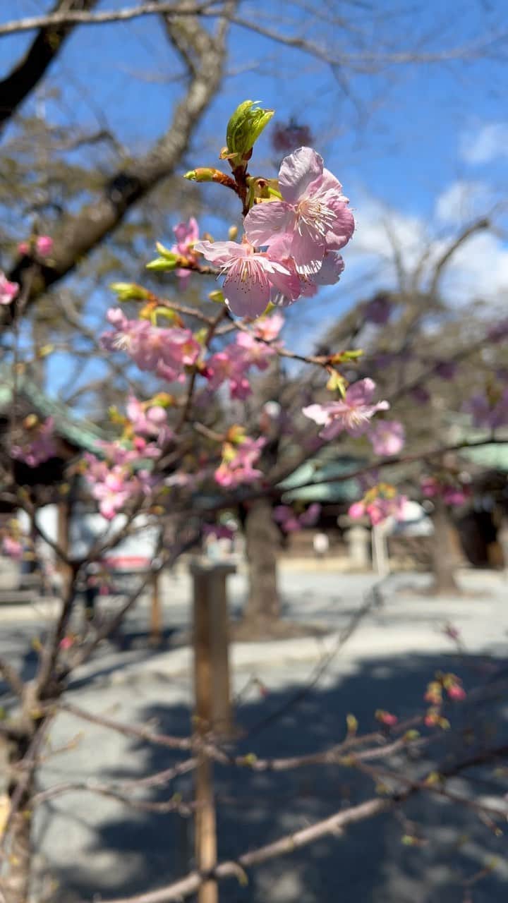 亀田誠治のインスタグラム：「春はもうすぐ。」